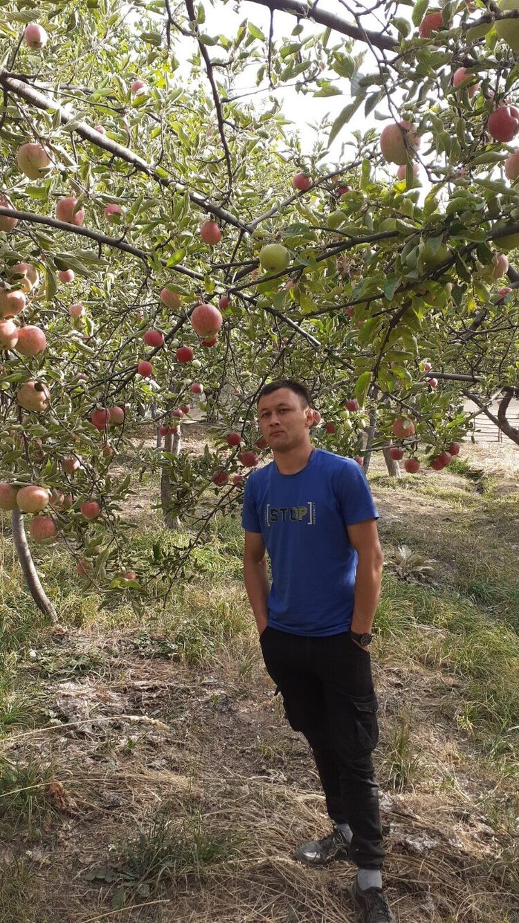 ���������� ����������, ���� ������� ����, 28 ���, ������������ ��� ������, ����� � ���������