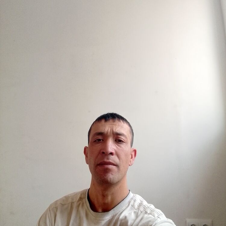  48268599  , 35 ,    