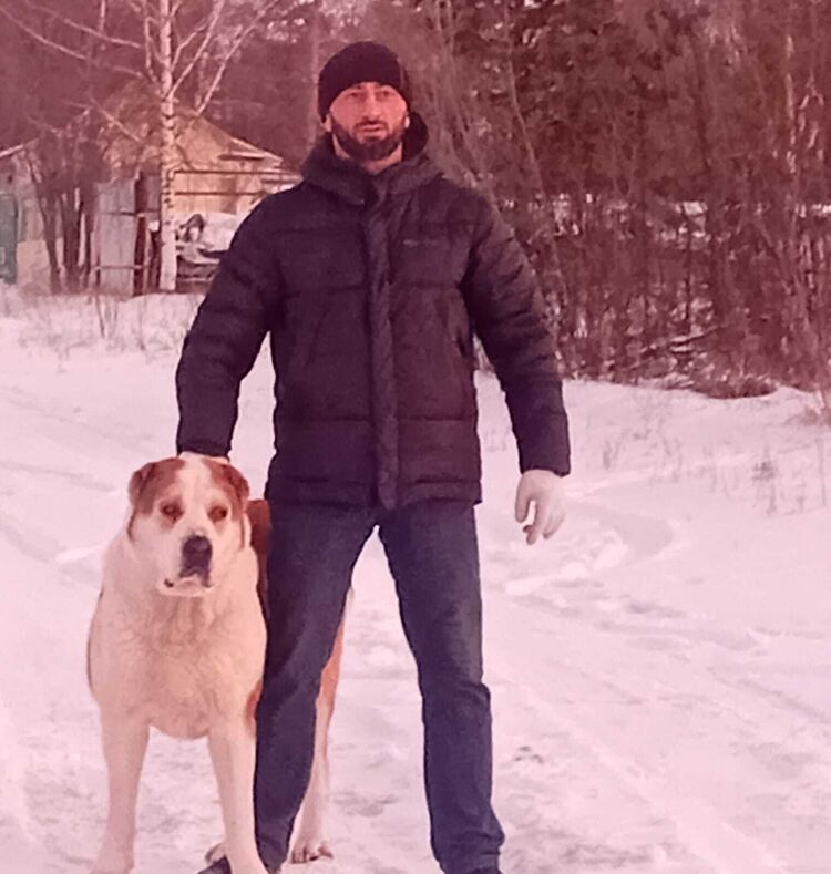 ���� 55634199 ������� �����, 40 ���, ���� ���������� � ���������