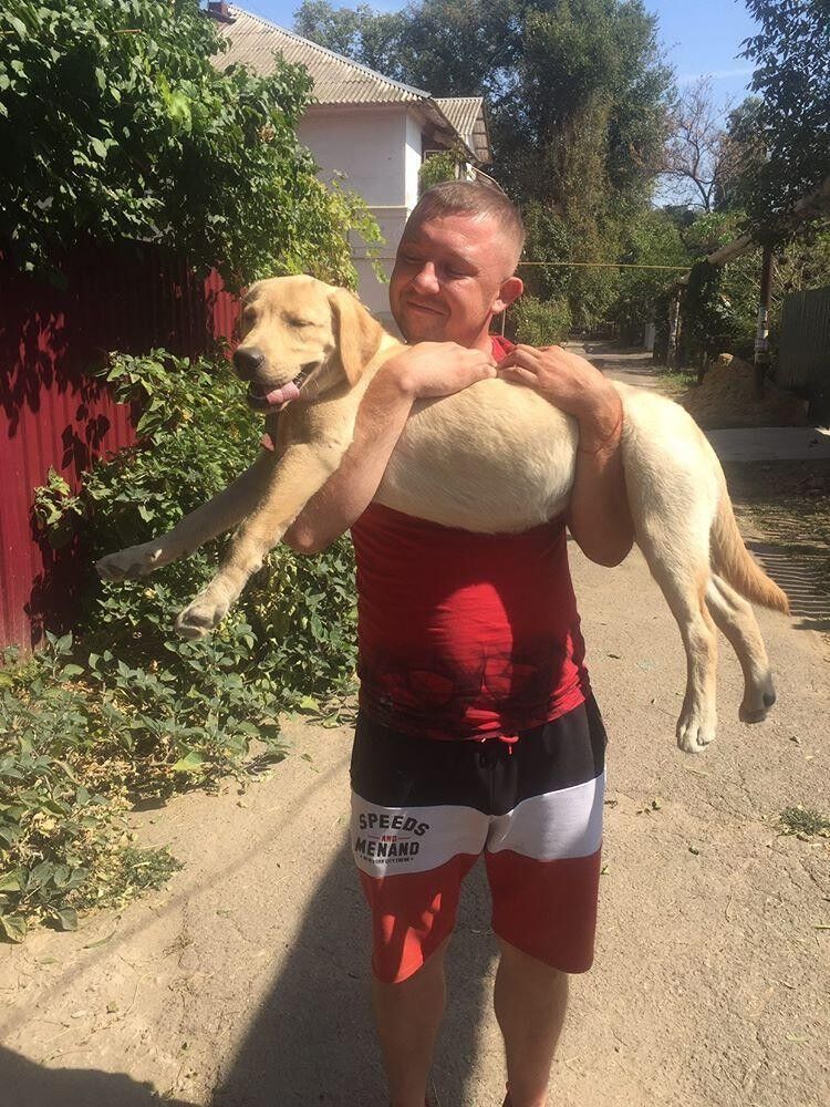 ���������� ������, ���� ������� ���������, 37 ���, ������������ ��� ������, ����� � ���������, c�������� ���������