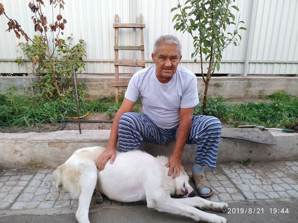   ,   , 58 ,   