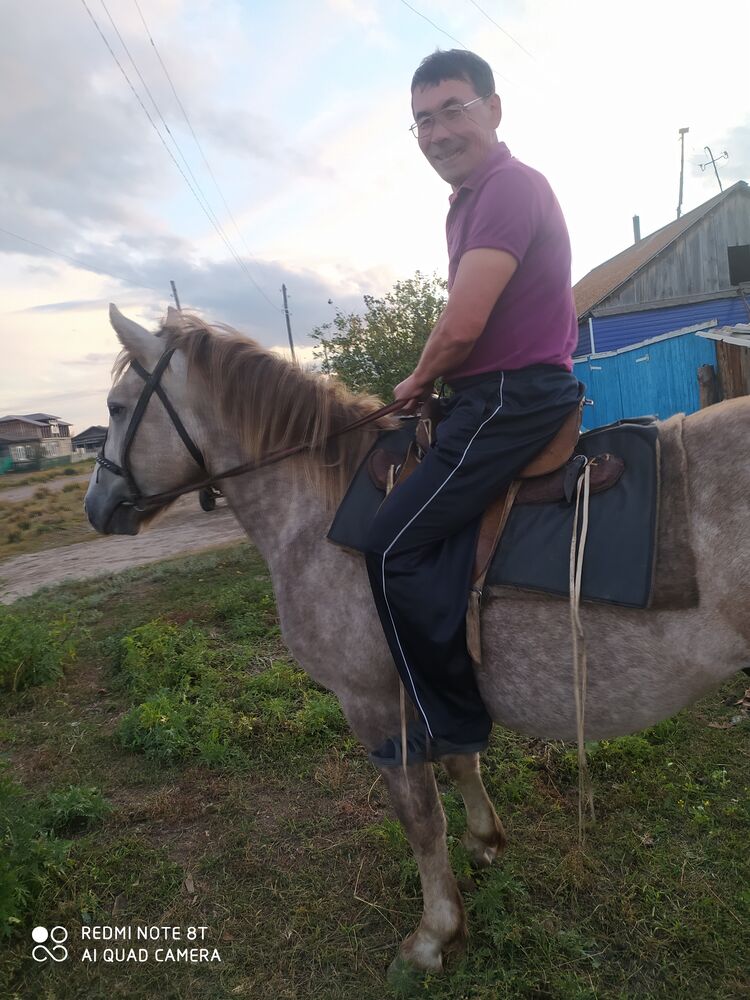  31333519  , 58 ,    