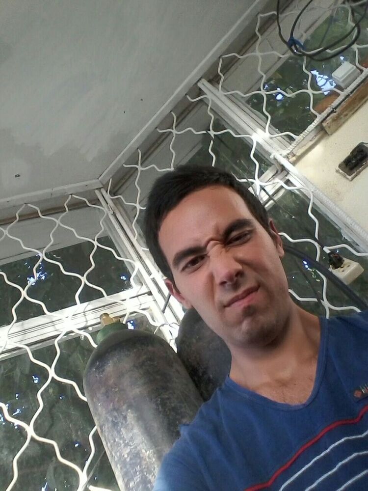  ,   , 31 ,  