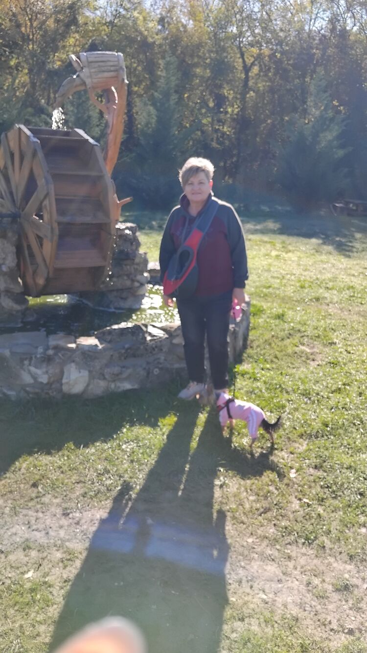 ���������� �����������, ���� ������� ����, 64 ����, ������������ ��� ����� � ���������, c�������� ���������, ���������