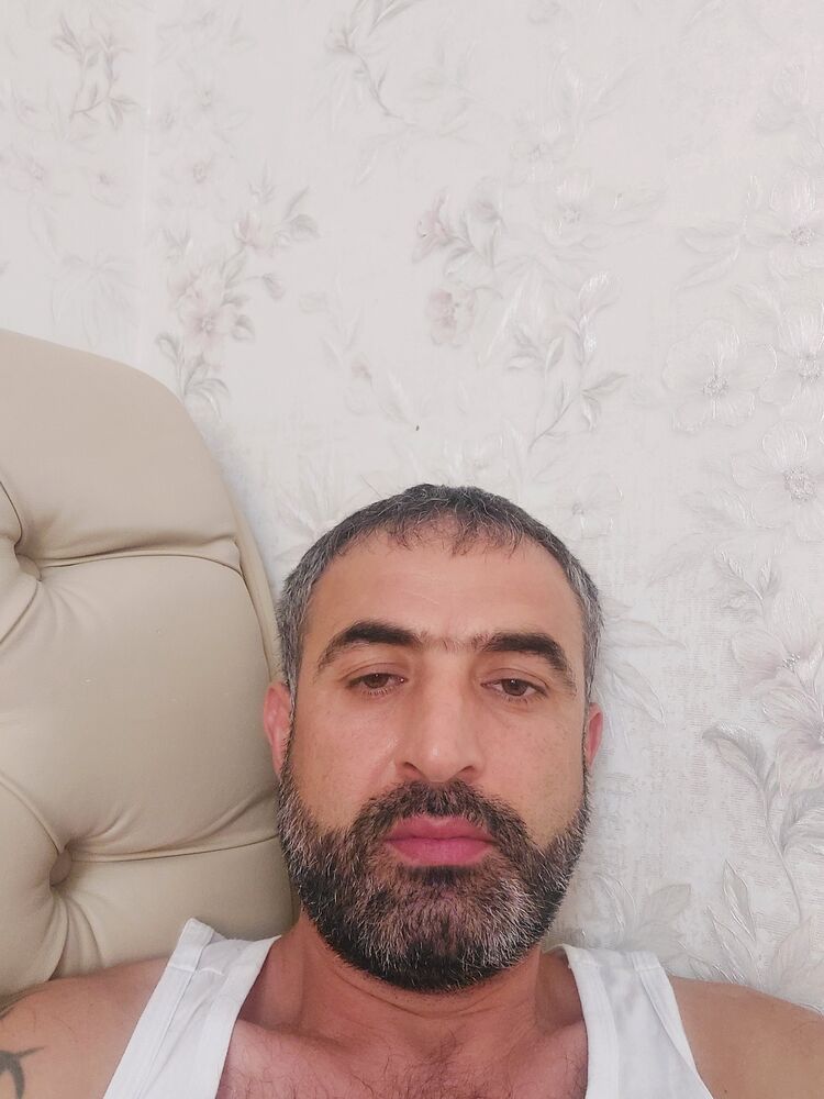  36908159  , 43 ,    