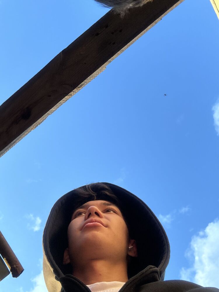 ���� 44127089 ����� Beks sex, 22 ����, ���� ���������� � ������