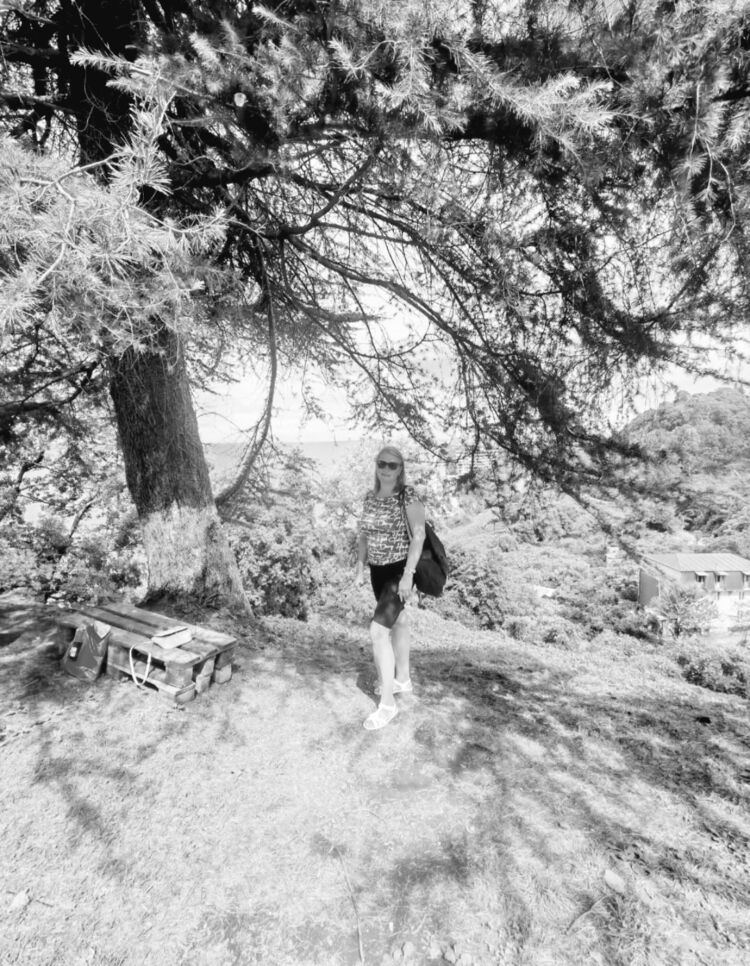 ���� 54905409 ������� �����, 43 ����, ���� ���������� � ������