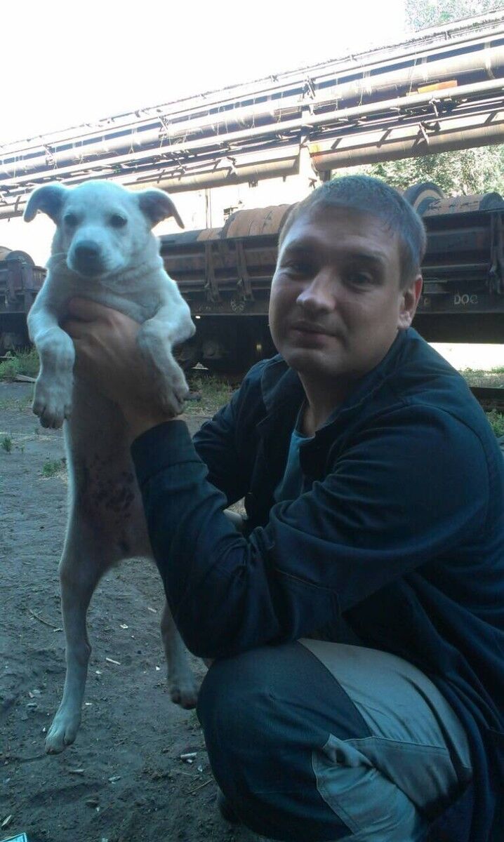 ���������� ���������, ���� ������� ��������, 44 ����, ������������ ��� ������, ����� � ���������, c�������� ���������