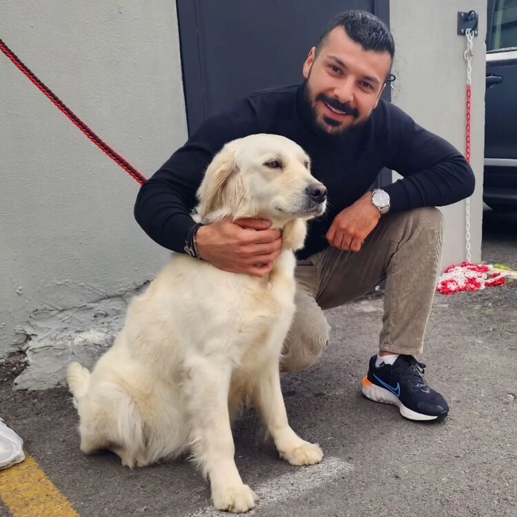 ���� 55186639 ������� �����, 33 ����, ���� ���������� � ������� �����