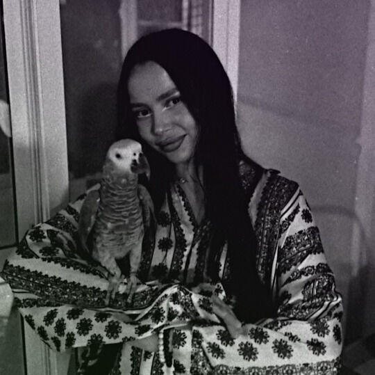 ���� 54884369 ������� �����, 30 ���, ���� ���������� � ������������