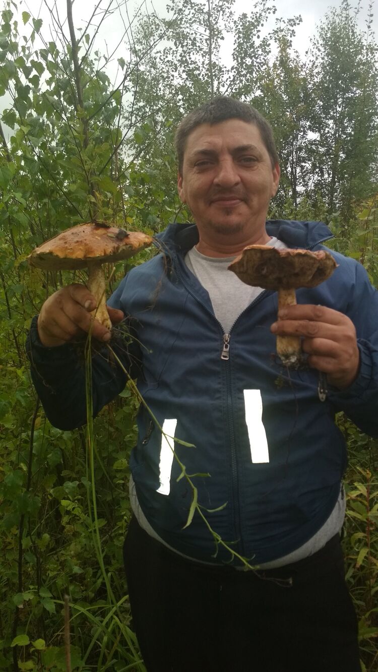 ���� 24260539 ������� �����, 46 ���, ���� ���������� � ������� ���������