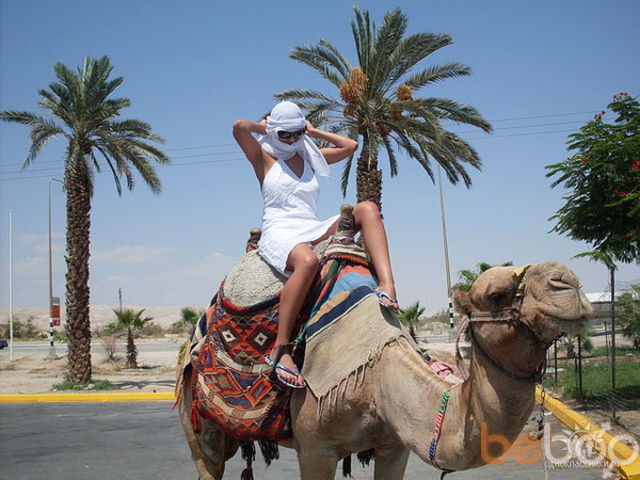 ���������� �������, ���� ������� Lena, 40 ���, ������������ ��� ����� � ���������, c�������� ���������, ���������