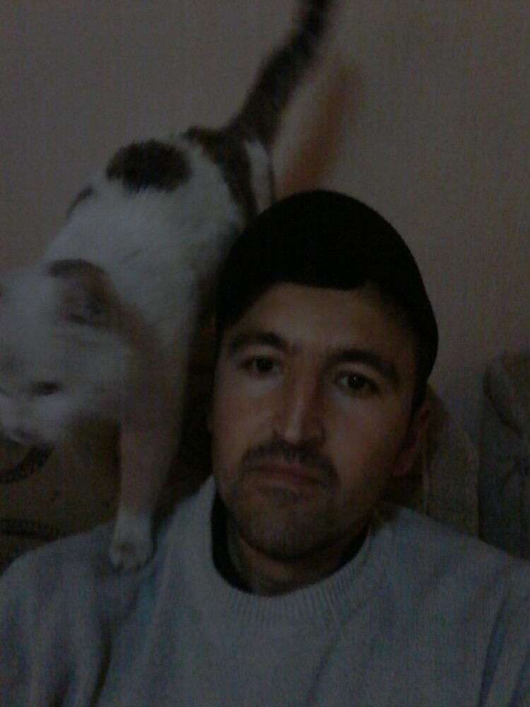 ���������� ���������, ���� ������� �����, 38 ���, ������������ ��� ������, ����� � ���������, c�������� ���������