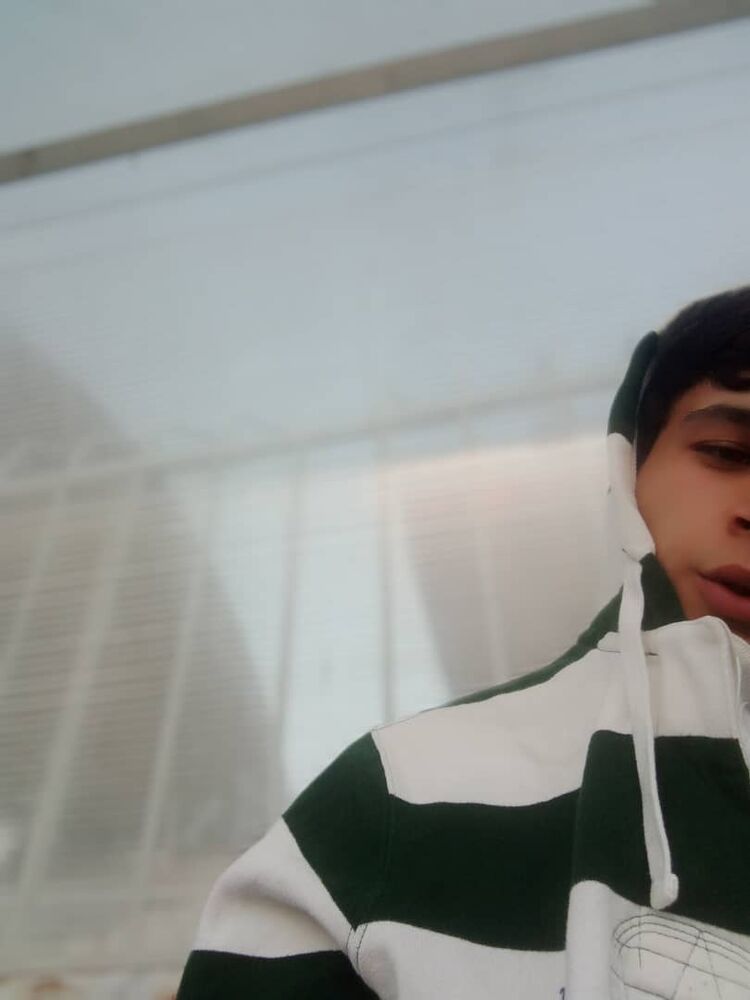 ���� 26038079 ����� �������, 24 ����, ���� ���������� � �������