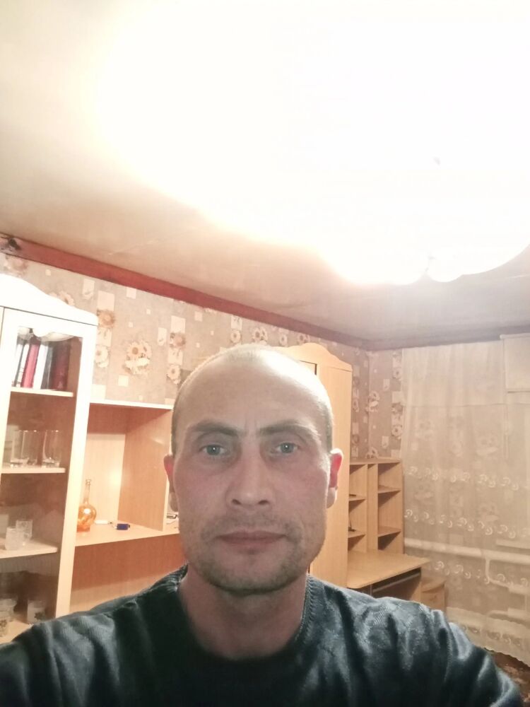  53775279  , 43 ,    