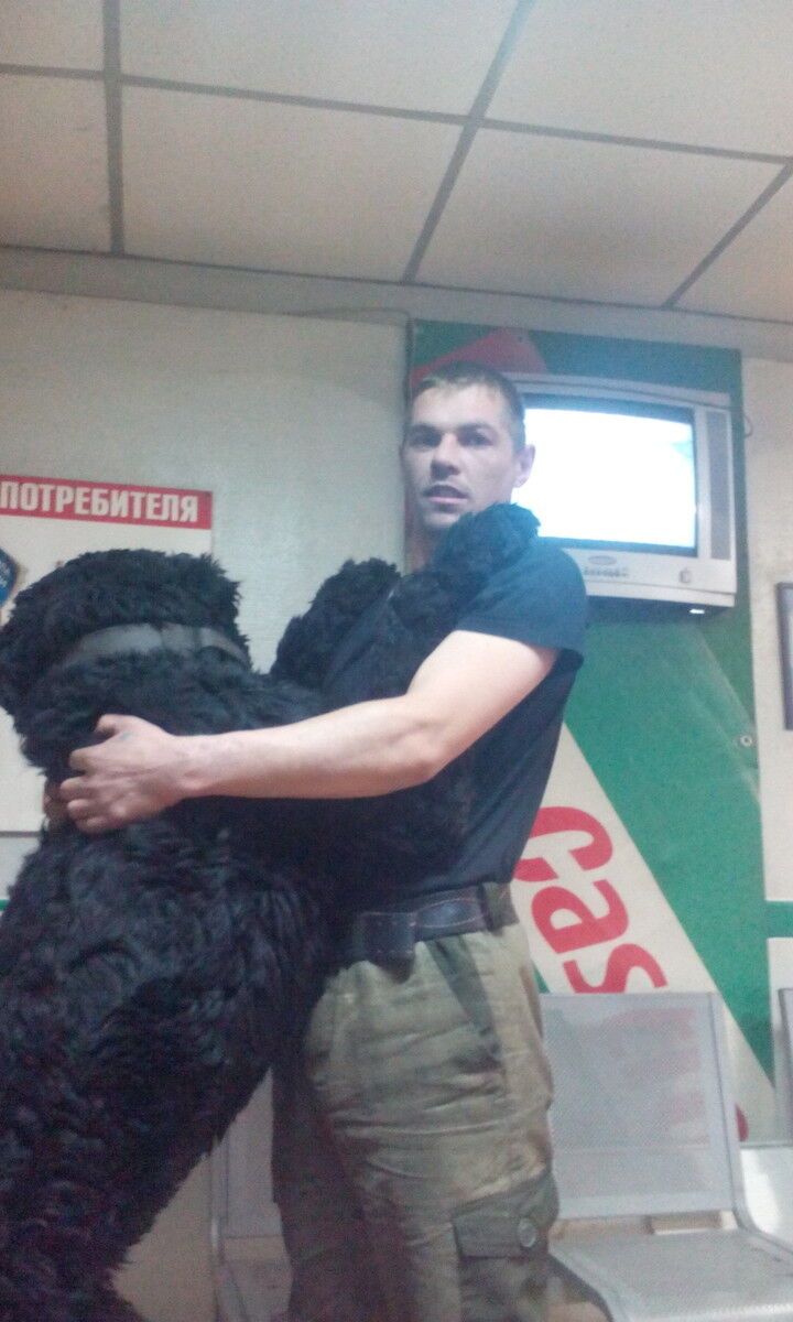 ���� 10888869 ������� �������, 36 ���, ���� ���������� � ������������