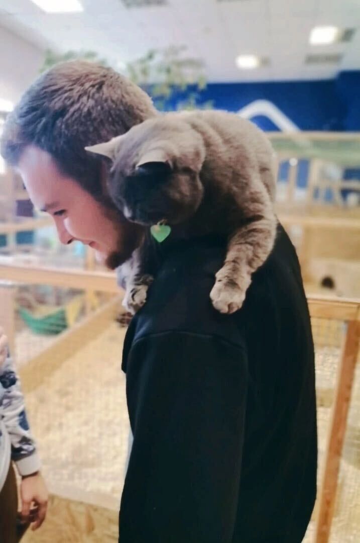 ���������� ������, ���� ������� ������, 27 ���, ������������ ��� ������, ����� � ���������, c�������� ���������