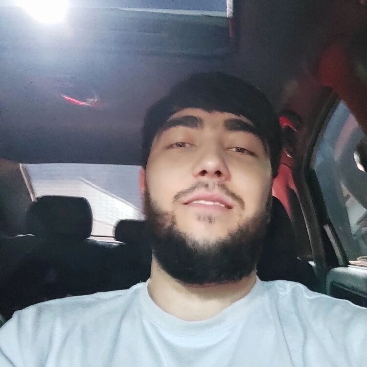 ���������� �������, ���� ������� Majnun, 28 ���, ������������ ��� ������, ����� � ���������