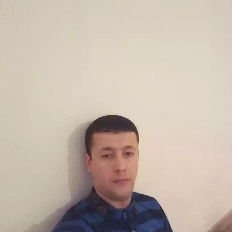 ���� 26584279 ������� ����, 33 ����, ���� ���������� � ������