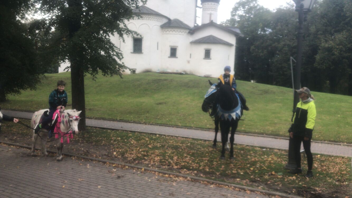 ���� 38817049 ������� �����, 39 ���, ���� ���������� � ������