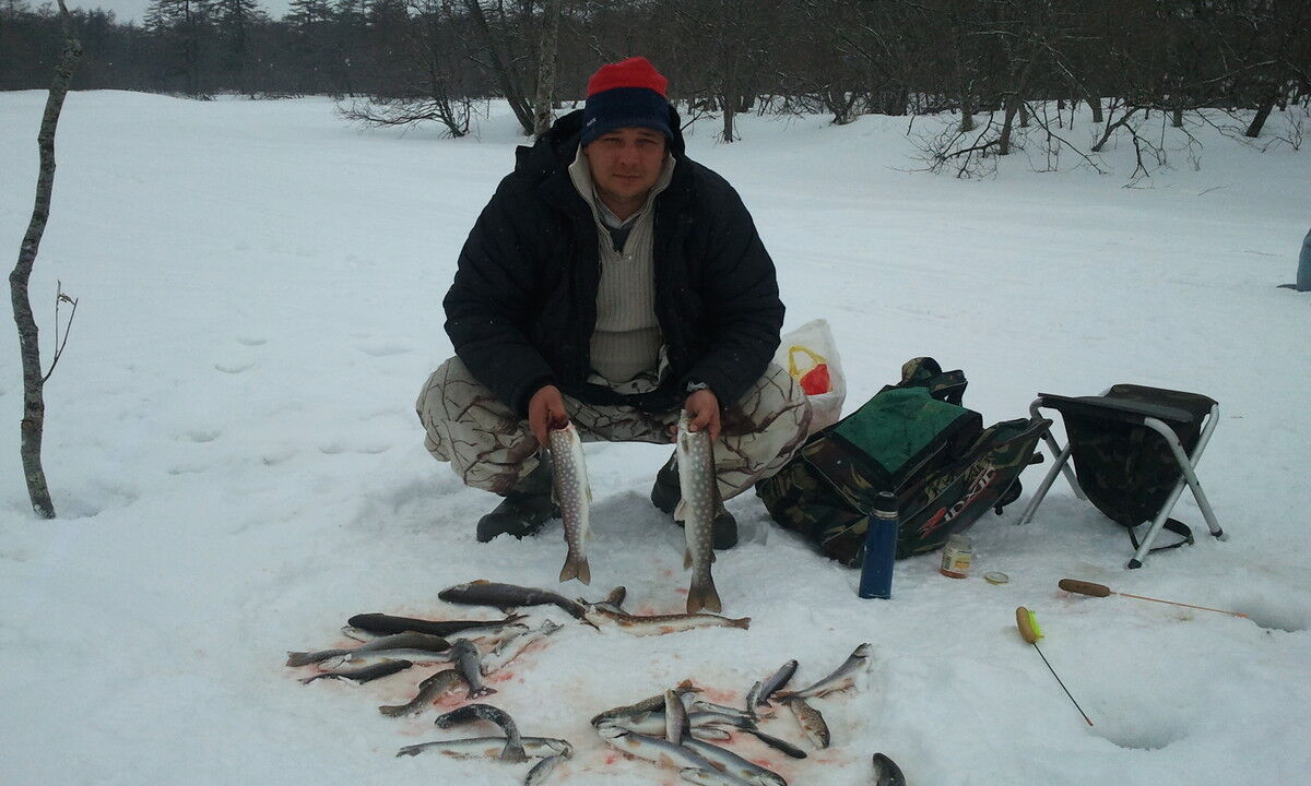 ���� 4246039 ������� ����, 45 ���, ���� ���������� � ����-����������