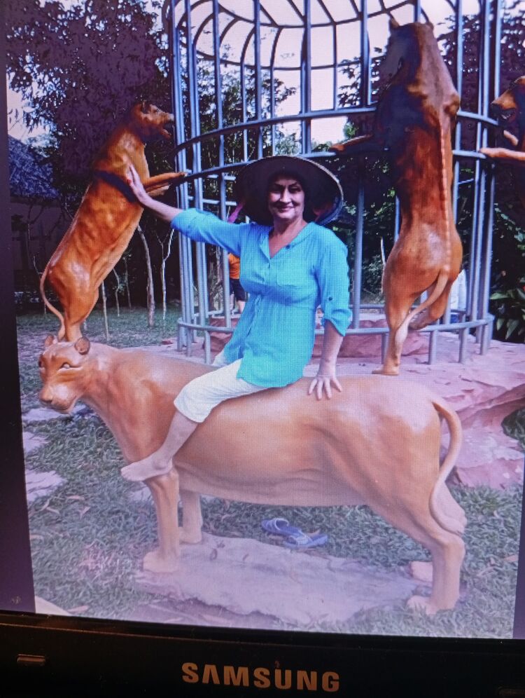 ���������� �����������, ���� ������� �������, 72 ����, ������������ ��� ����� � ���������