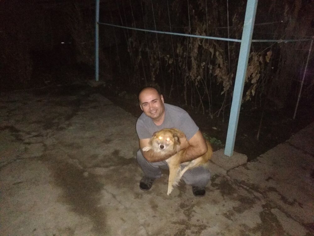 ���������� �������, ���� ������� �����, 47 ���, ������������ ��� ������, ����� � ���������