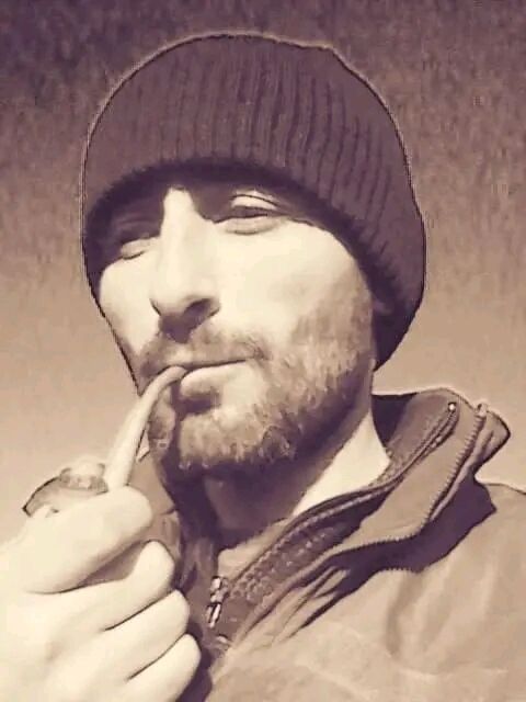 ���� 44643339 ������� �����, 44 ����, ���� ���������� � ���������