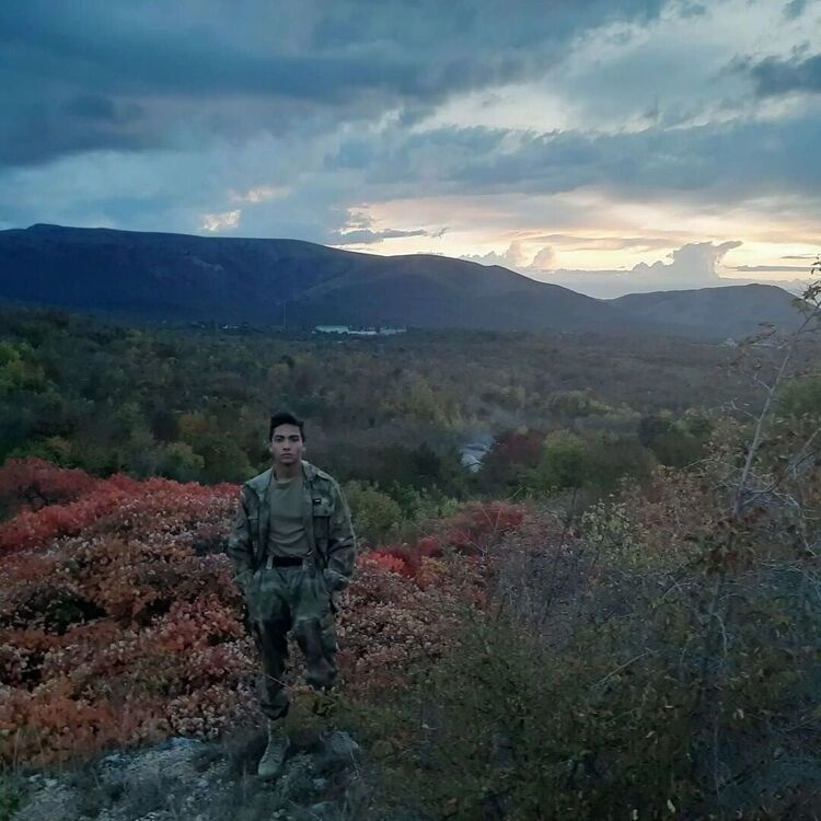 ���� 28625199 ����� �������, 23 ����, ���� ���������� � �����������