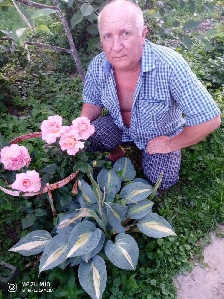  ,   , 60 ,   ,   , c , 