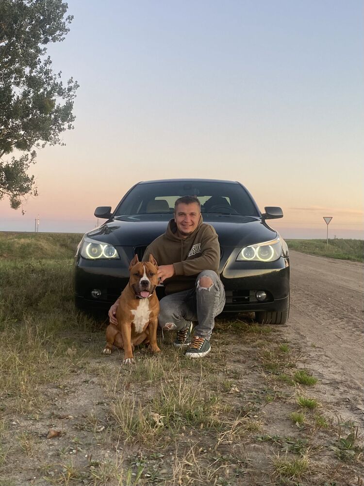 ���������� �����, ���� ������� �����, 33 ����, ������������ ��� ������, ����� � ���������, c�������� ���������, ���������