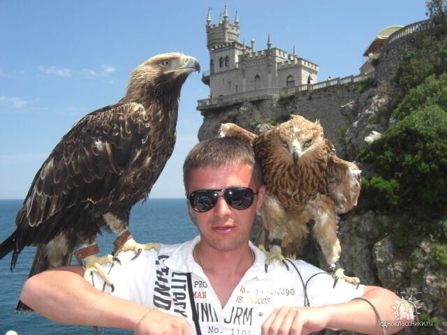  38750899  , 45 ,    -