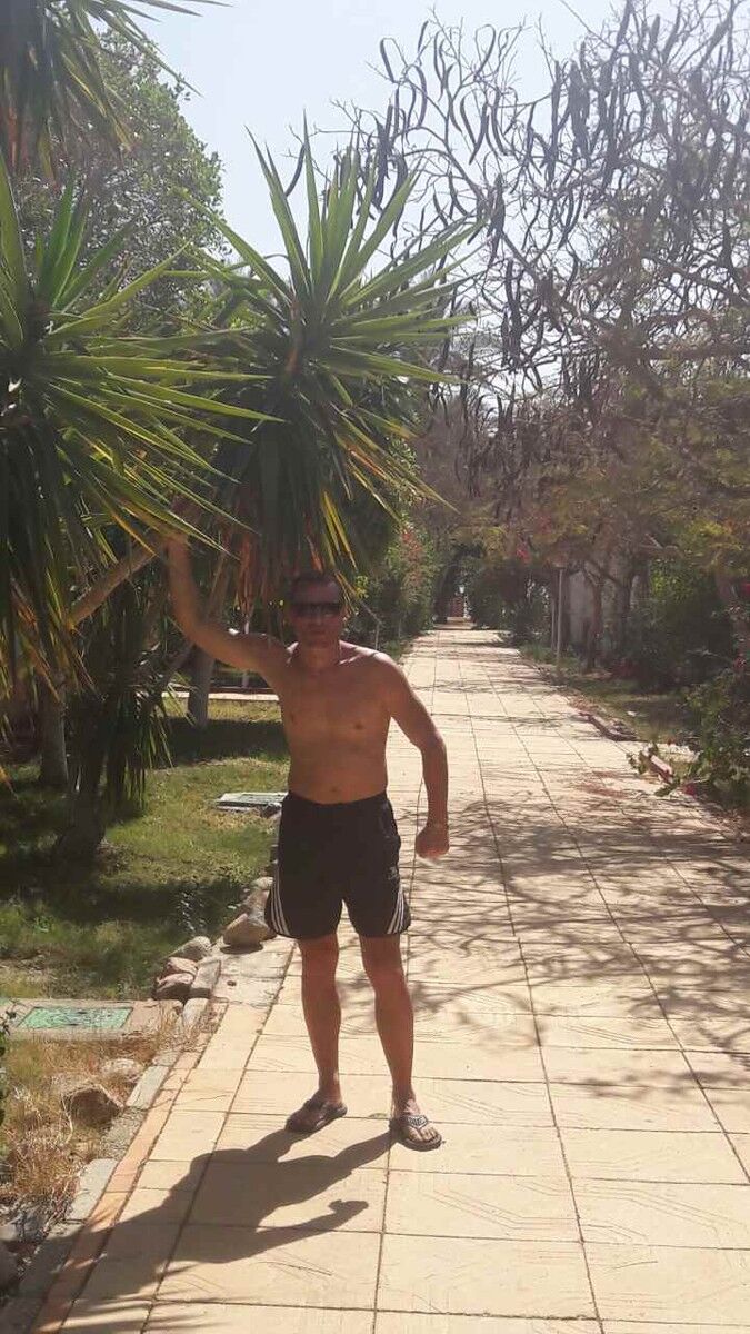 ���� 9575549 ������� ���, 38 ���, ���� ���������� � ������