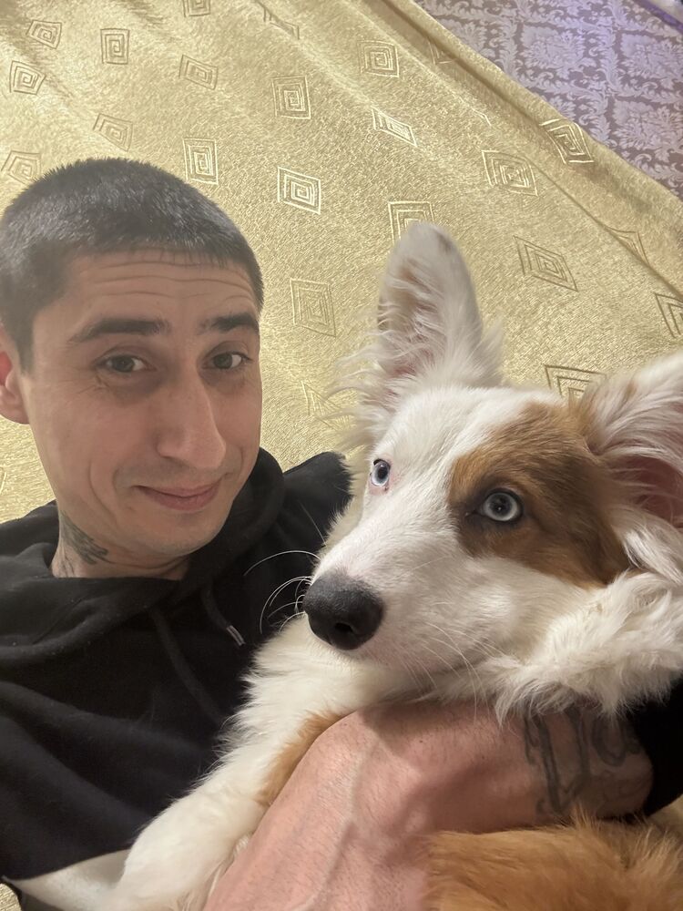 ���� 50692529 ������� �������, 37 ���, ���� ���������� � ���������