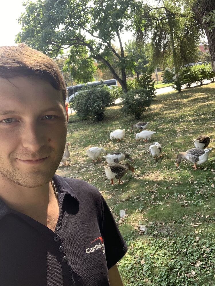 ���� 31089059 ������� �����, 33 ����, ���� ���������� � ������