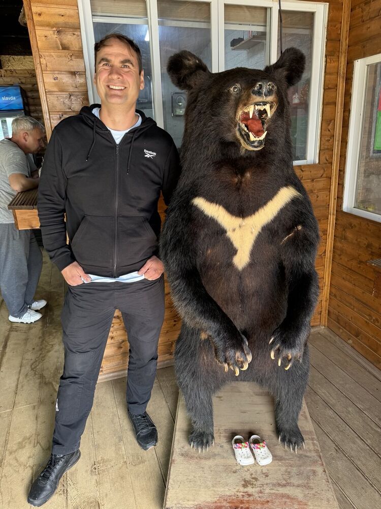 ���������� �������, ���� ������� �����, 43 ����, ������������ ��� ������, ����� � ���������