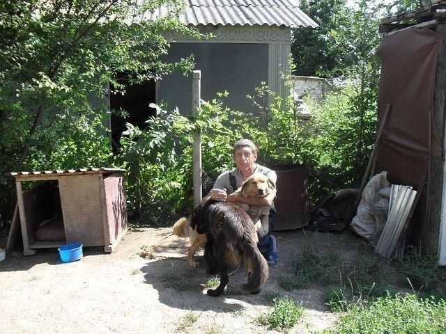  15658159  Fomin, 63 ,    