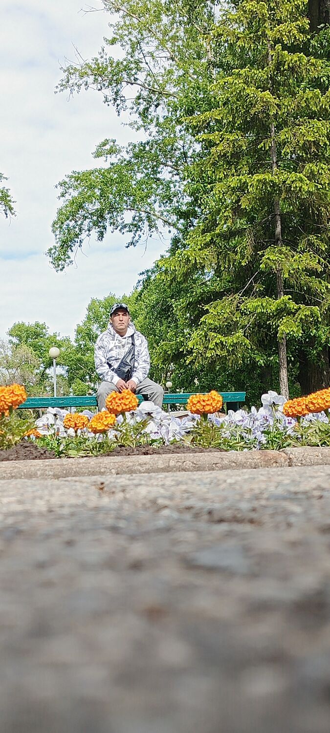 ���� 43176719 ������� ��������, 36 ���, ���� ���������� � ������