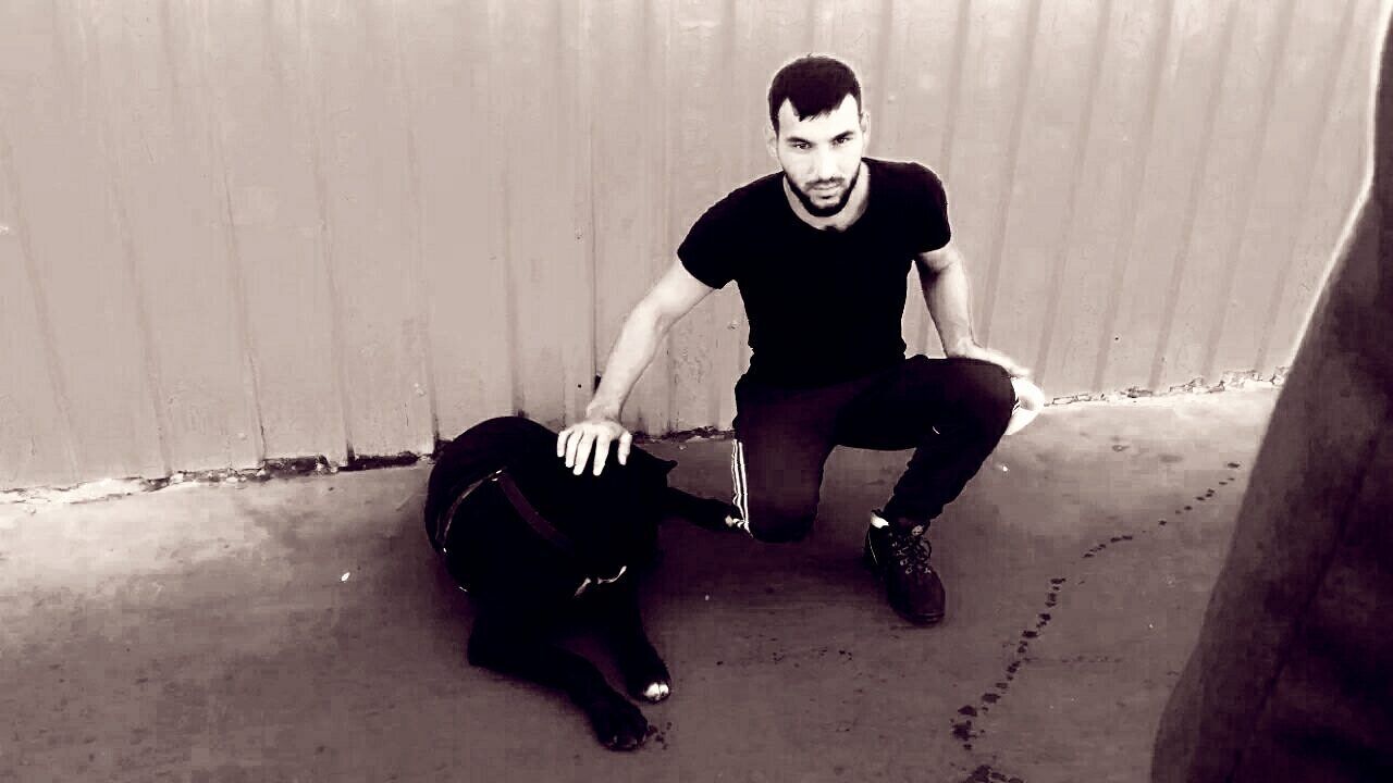 ���� 38105869 ������� ���������, 36 ���, ���� ���������� � ������