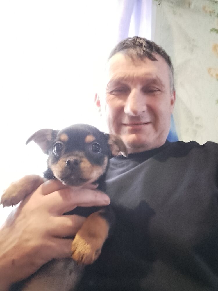 ���� 55354779 ������� �����, 56 ���, ���� ���������� � ��������