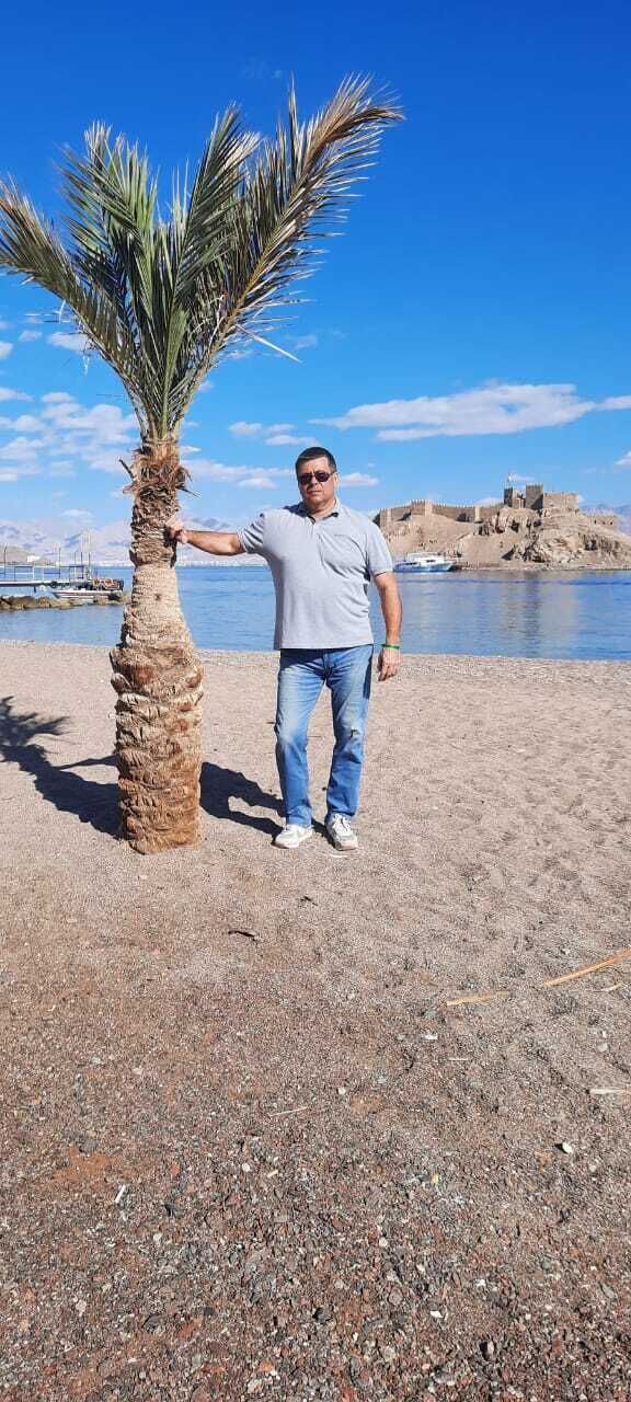 ���� 54649079 ������� �������, 54 ����, ���� ���������� � ��������