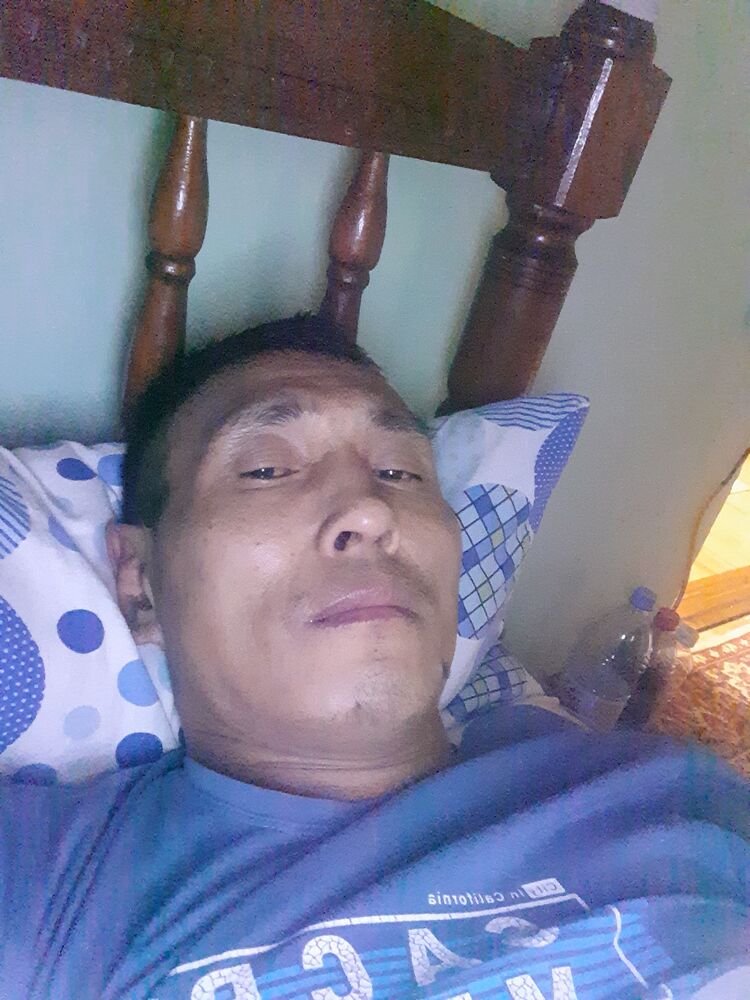 ���� 40661909 ������� ����, 44 ����, ���� ���������� � ������