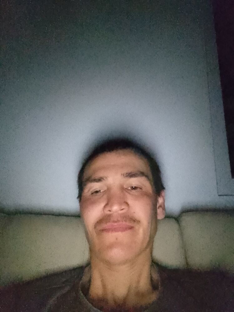  33286159  , 43 ,    