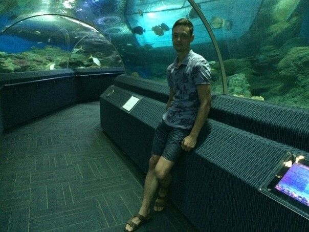 ���������� ������, ���� ������� ���������, 29 ���, ������������ ��� ������, ����� � ���������, c�������� ���������