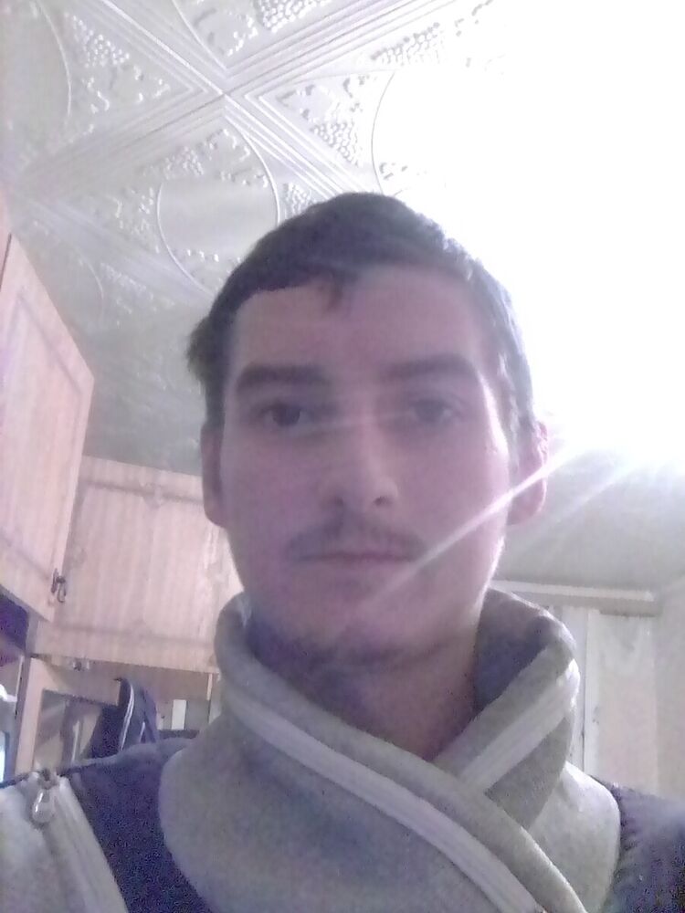  21913679  , 33 ,    