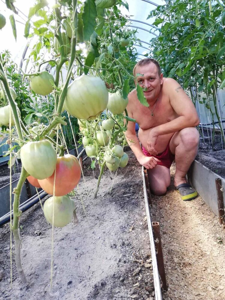 ���������� ������, ���� ������� ����, 55 ���, ������������ ��� c�������� ���������