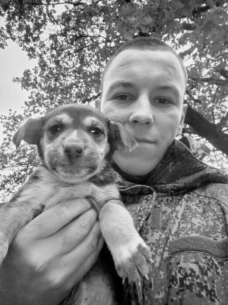 ���� 55871959 ����� �����, 23 ����, ���� ���������� � �������