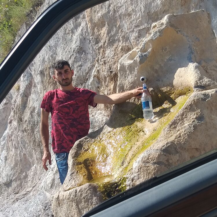  52065829  , 31 ,    