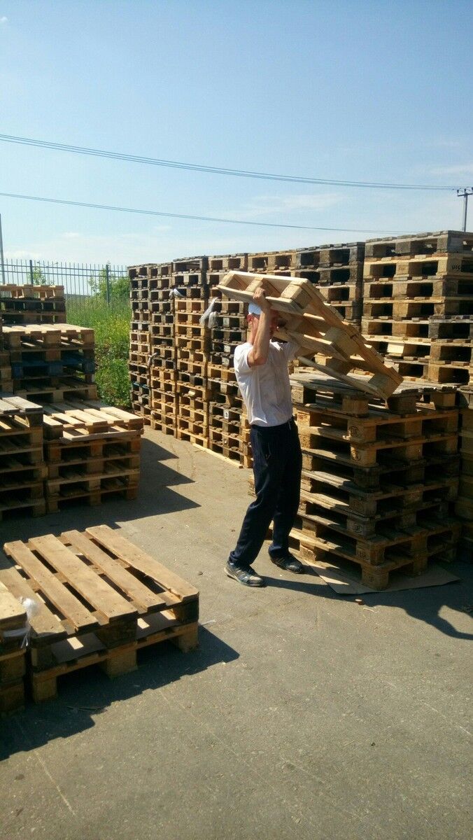 ���������� �����, ���� ������� ������, 31 ���, ������������ ��� ������, ����� � ���������, c�������� ���������, ���������