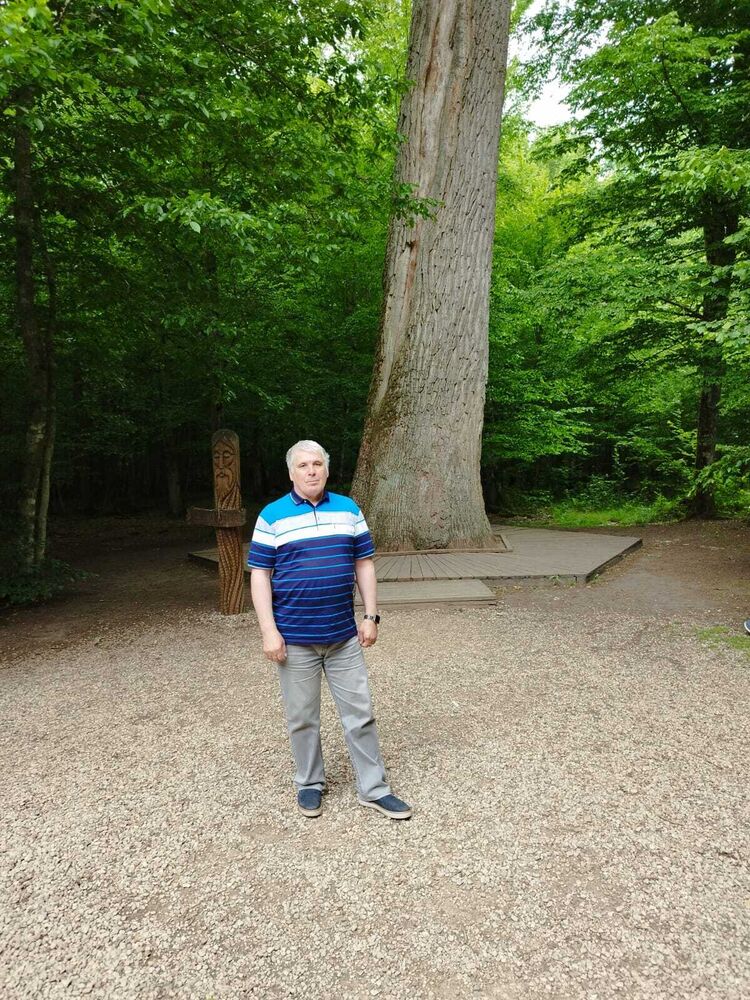 ���� 56267389 ������� ������, 50 ���, ���� ���������� � �����-����������